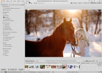 ACDSee Photo Studio Standard 2018 21.1 Build 791 RePack by KpoJIuK