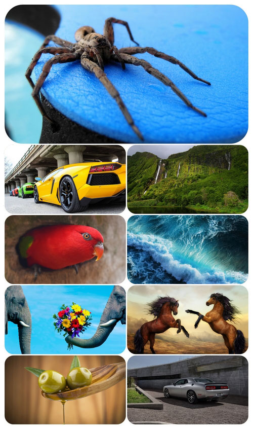 Beautiful Mixed Wallpapers Pack 610