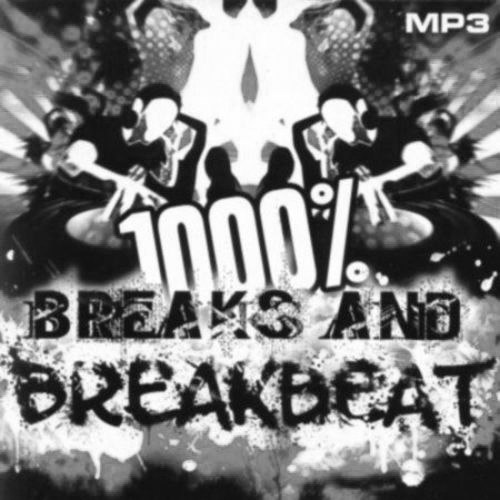 1000 % BreakBeat Vol. 170 (2017)