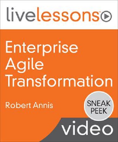 Enterprise Agile Transformation by Robert Annis