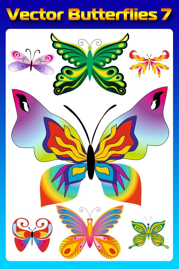 Бабочки (насекомые в векторе) часть седьмая