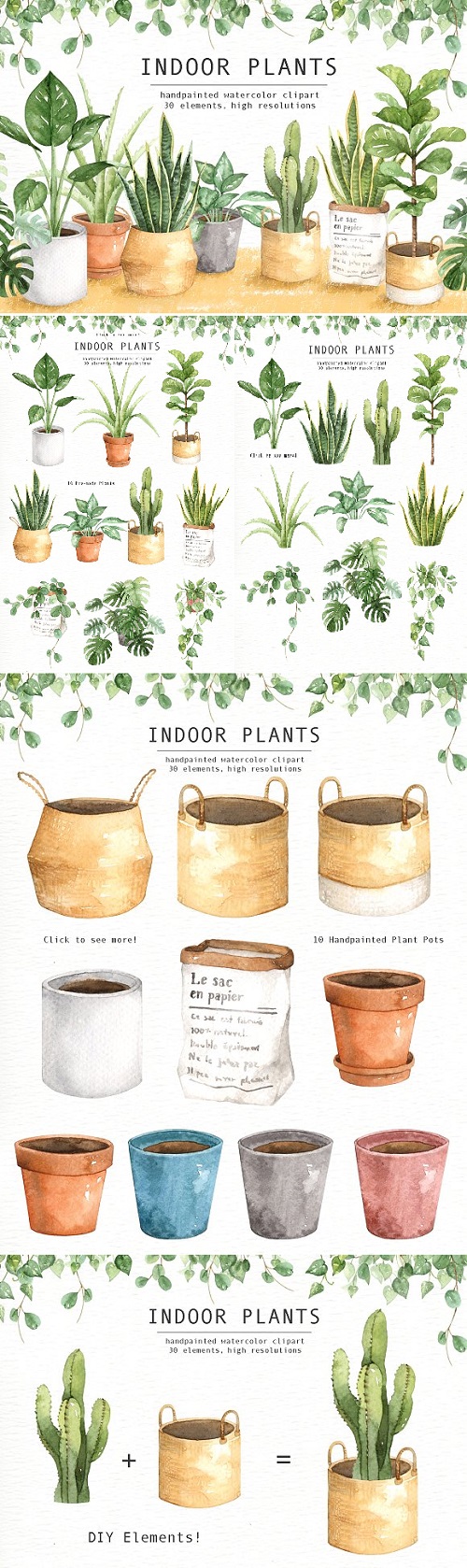 Indoor Plants Watercolor Clipart 2095608