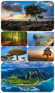 Most Wanted Nature Widescreen Wallpapers #416