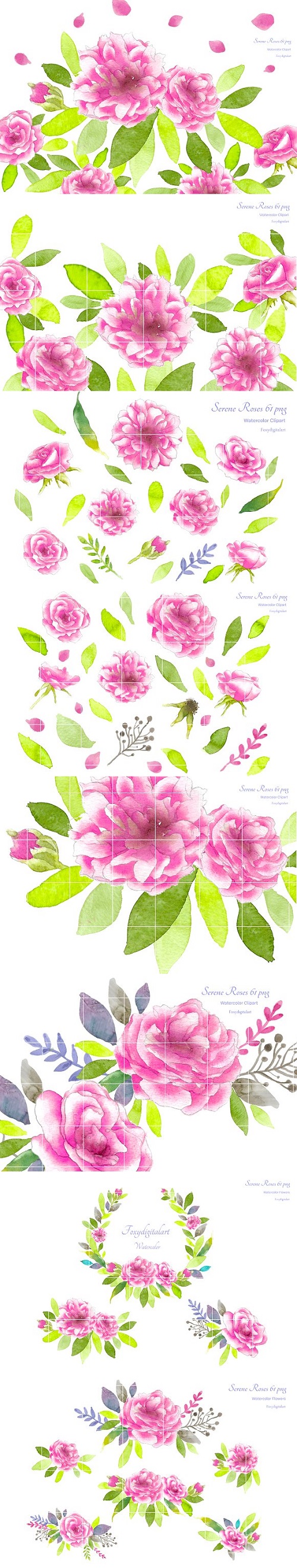 Pink Roses Watercolor Flowers CL59 2089438