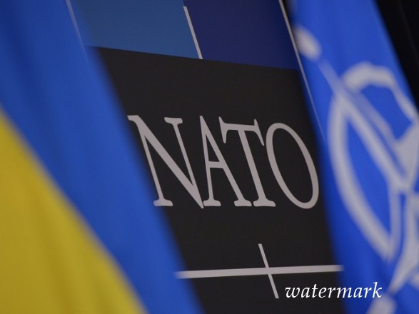 НАТО еще не сформировал политику в отношении Крыма - Пристайко