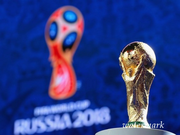 Порошенко высказался по предлогу поездки украинских футбольных фанатов на ЧМ в Росии
