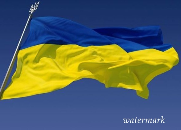 Парубий поддержал идею о внедрении Дня украинской государственности