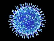 Новейший вид иммунотерапии поможет совладать с вирусом гриппа / Новинки / Finance.ua
