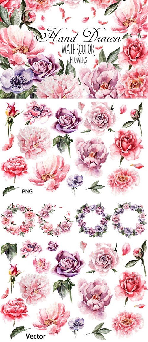 Beautiful watercolor flowers - 633484