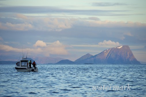 Туристам-рыбакам изменили нормы вывоза рыбы из Норвегии