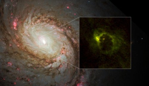Галактика M77