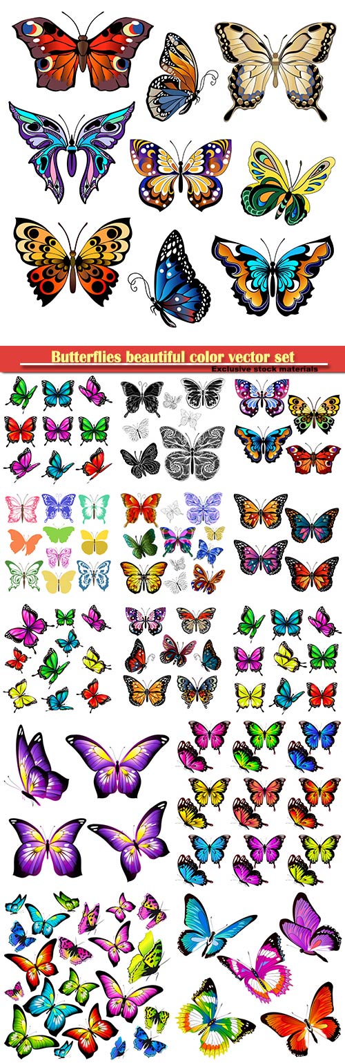 Butterflies beautiful color vector set