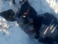 В Харьковской области 12-летнюю девченку извлекли из-под многотонного снежного завала(видео)