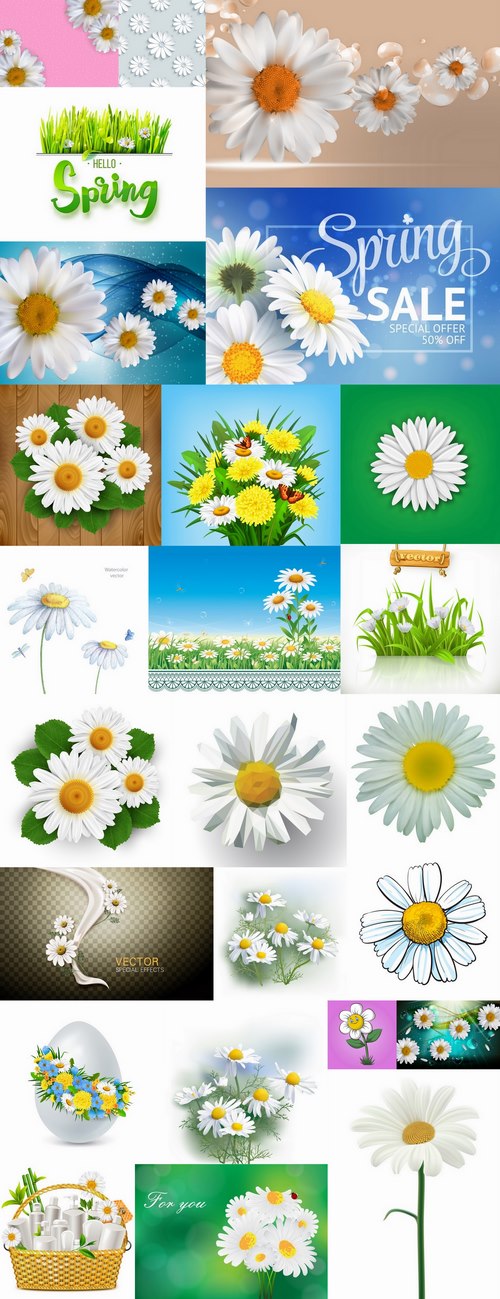 Daisy flower petal spring flyer banner frame background 25 EPS