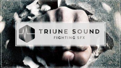Triune Store - Triune Sound: Fighting SFX (WAV)