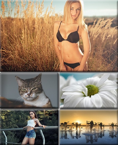 LIFEstyle News MiXture Images. Wallpapers Part (1373)