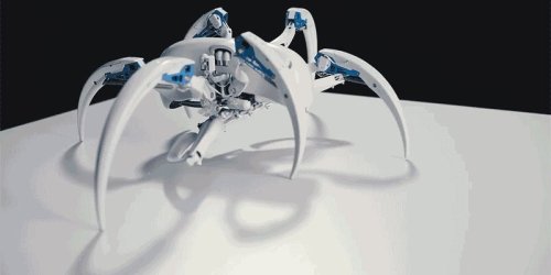 Робот BionicWheelBot #2