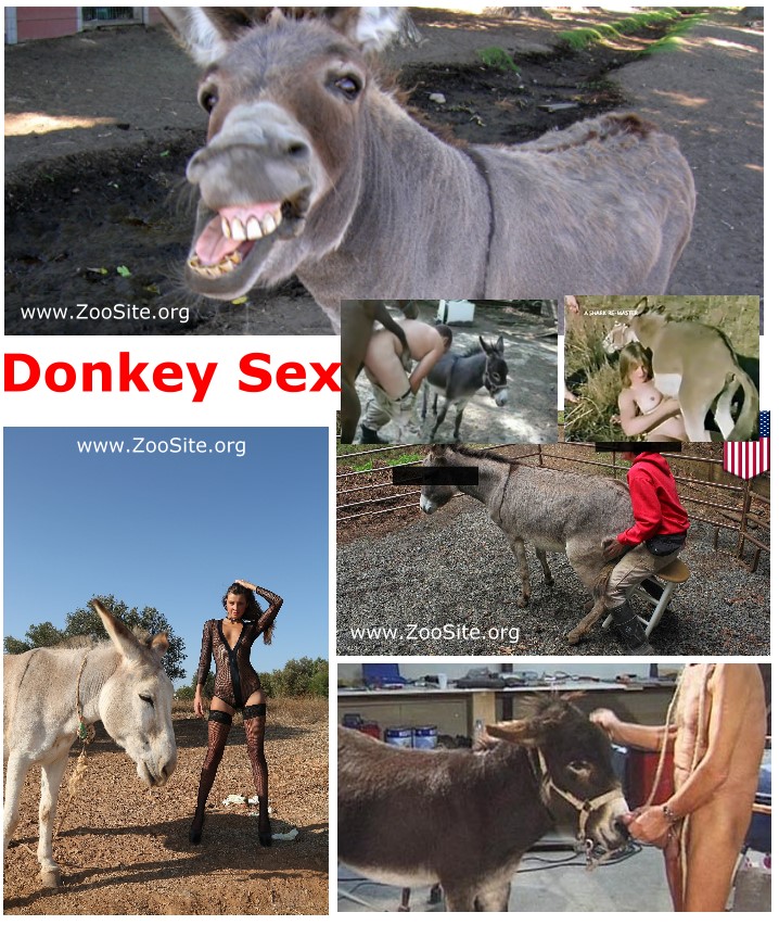 Zoo porn new animal porn