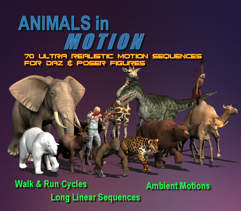 Animals in Motion 1