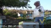 Пчеловодство. Продукты пчеловодства. Источники дохода (2014)