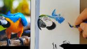 Рисуем Животный Мир цветными карандашами (2018) Видеокурс