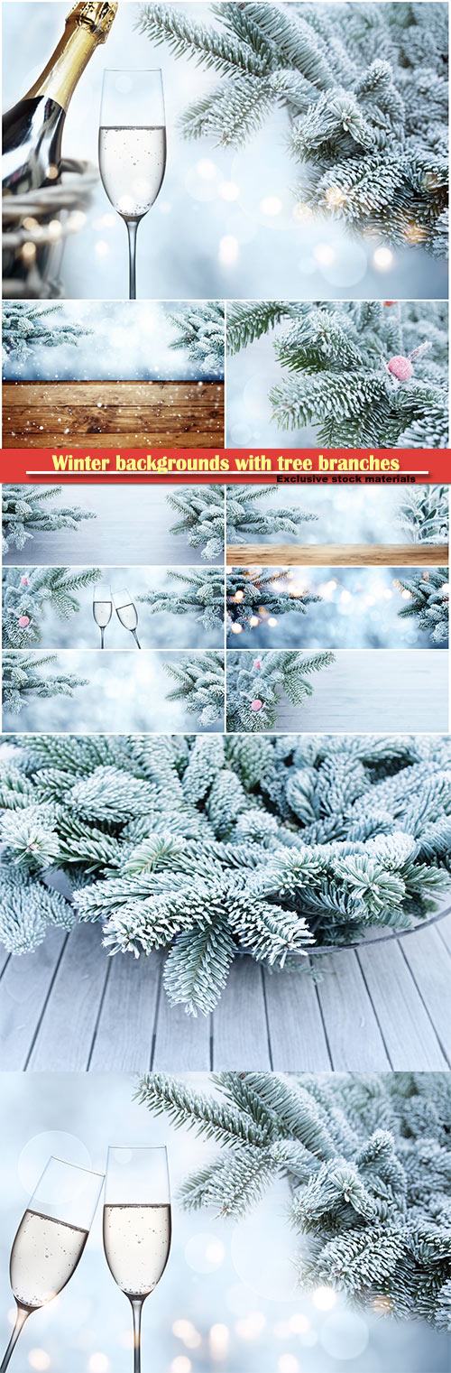 Winter backgrounds with tree branches