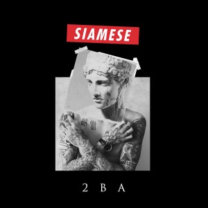 Siamese - Animals (New Track) (2018)